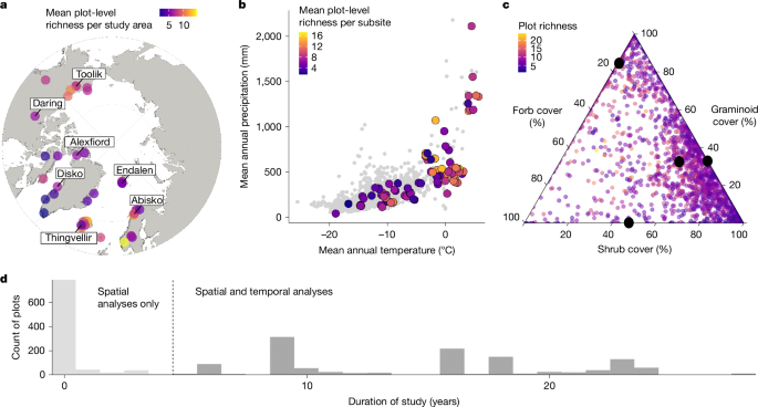 Plant diversity dynamics over space and time in a warming Arctic