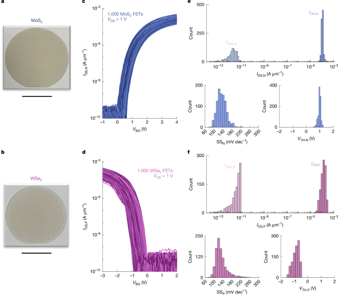 A complementary two-dimensional material-based one instruction set computer