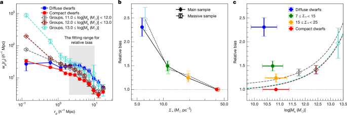 Unexpected clustering pattern in dwarf galaxies challenges formation models