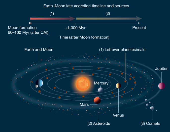 The shaping of terrestrial planets by late accretions
