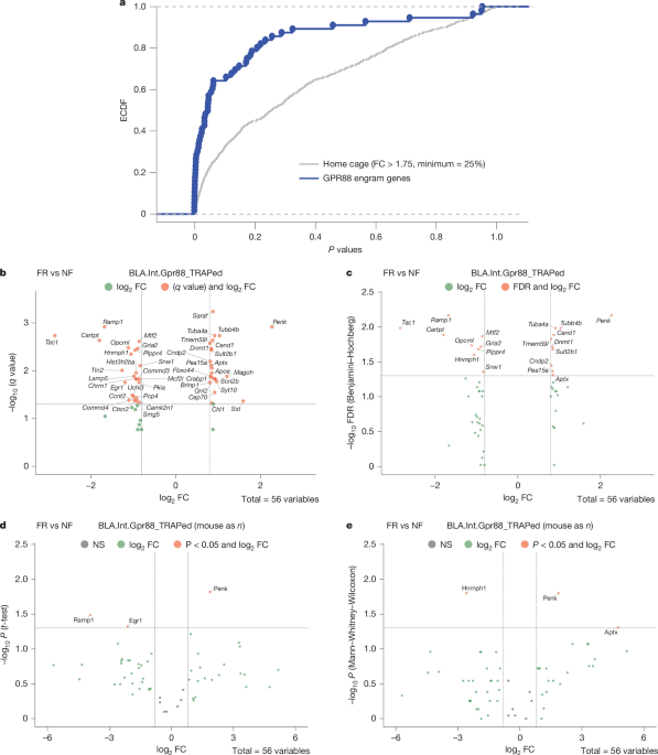 Reply to: False positives in study of memory-related gene expression