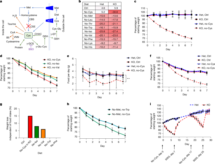 Unravelling cysteine-deficiency-associated rapid weight loss