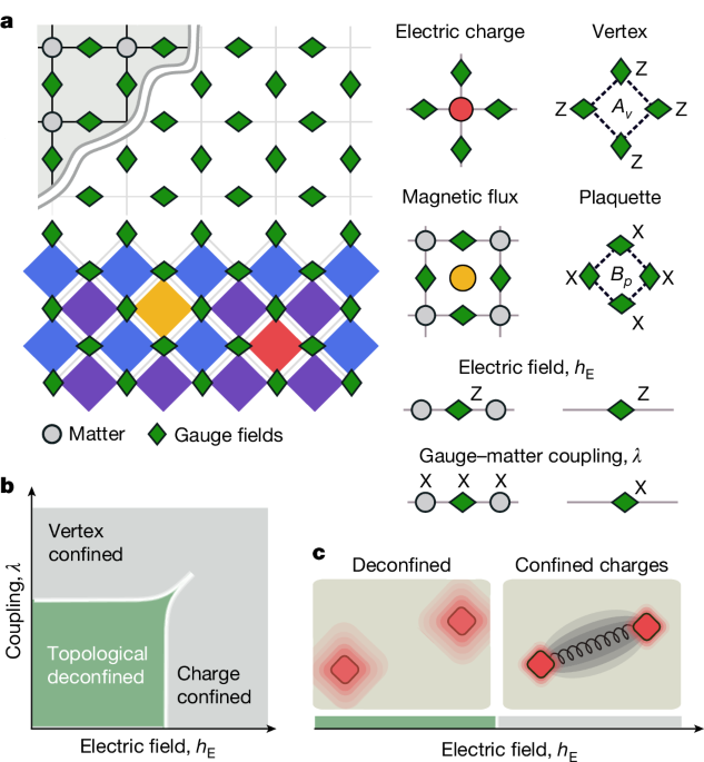 Visualizing dynamics of charges and strings in (2 + 1)D lattice gauge theories