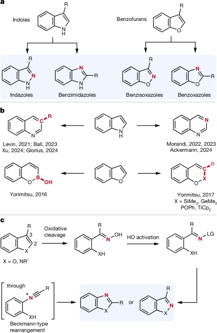 C-to-N atom swapping and skeletal editing in indoles and benzofurans