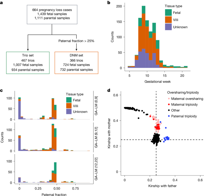 Sequence diversity lost in early pregnancy