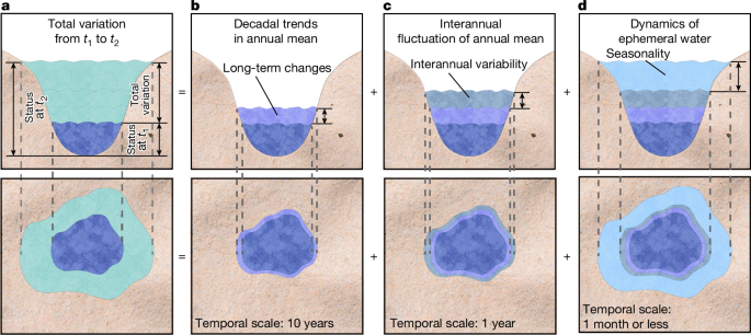 Global dominance of seasonality in shaping lake-surface-extent dynamics