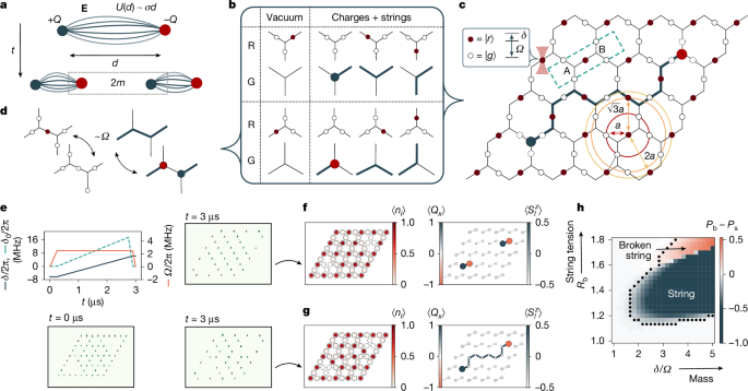 Observation of string breaking on a (2 + 1)D Rydberg quantum simulator
