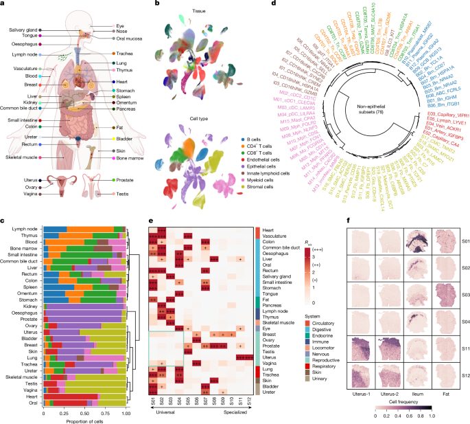 Cross-tissue multicellular coordination and its rewiring in cancer