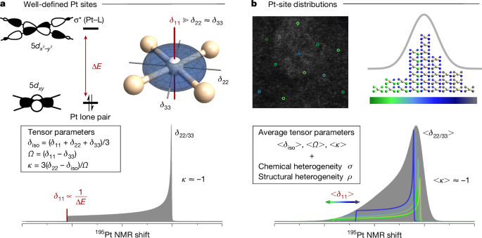 Coordination environments of Pt single-atom catalysts from NMR signatures