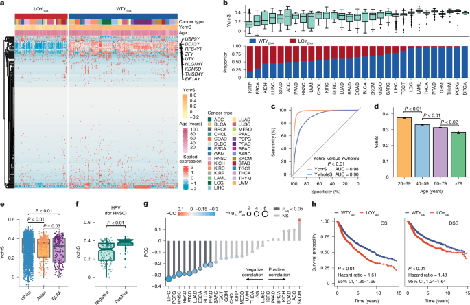 Concurrent loss of the Y chromosome in cancer and T cells impacts outcome