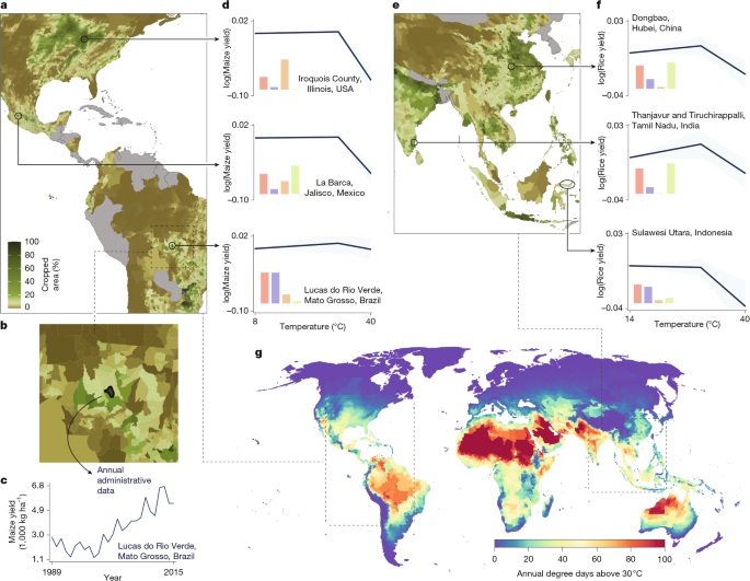 Impacts of climate change on global agriculture accounting for adaptation