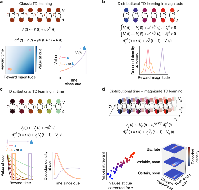 A multidimensional distributional map of future reward in dopamine neurons