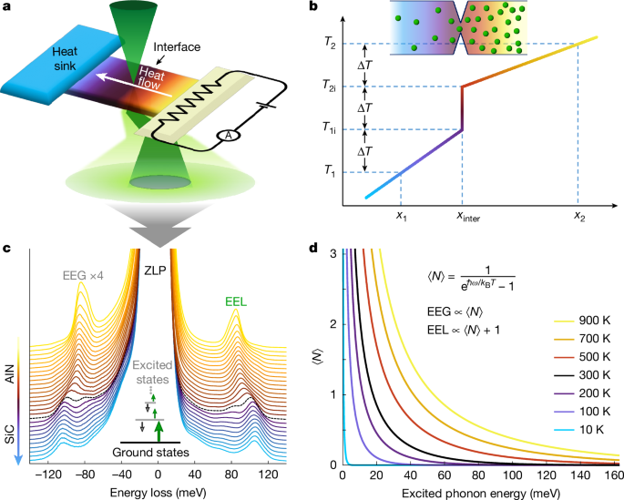 Probing phonon transport dynamics across an interface by electron microscopy