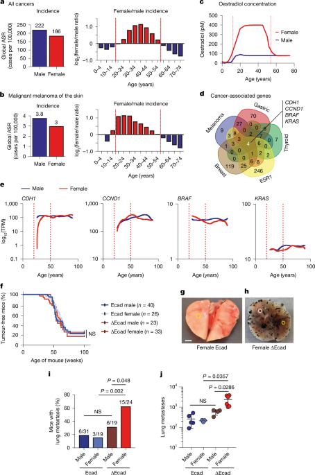 Targeting GRPR for sex hormone-dependent cancer after loss of E-cadherin