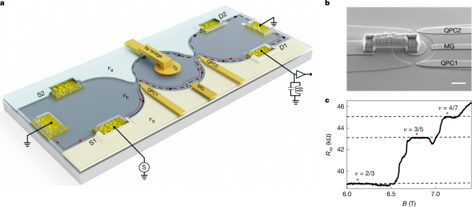 Coherent bunching of anyons and dissociation in an interference experiment