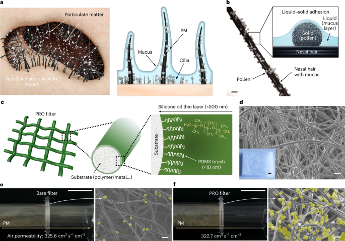 Bioinspired capillary force-driven super-adhesive filter