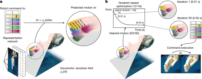 Controlling diverse robots by inferring Jacobian fields with deep networks