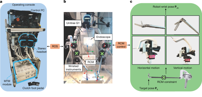 In vivo feasibility study of humanoid robots in surgery