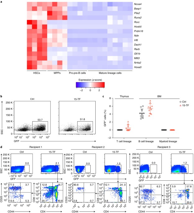 Transcription factor Hoxb5 reprograms B cells into functional T lymphocytes | Nature Immunology