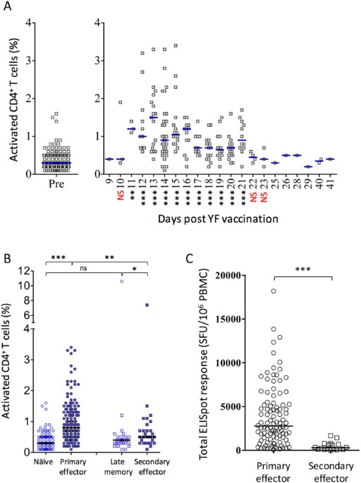 Adaptive immune responses to booster vaccination against yellow fever