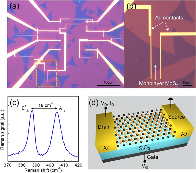 Ambient effects on electrical characteristics of CVD-grown ...