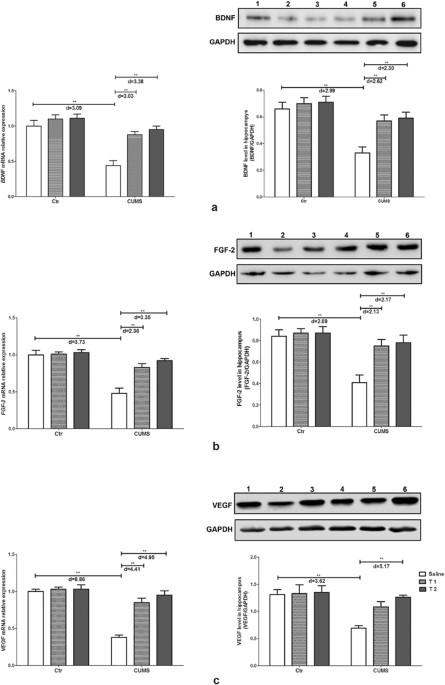 taurine effects on insulin absorption taurine effects on insulin absorption
