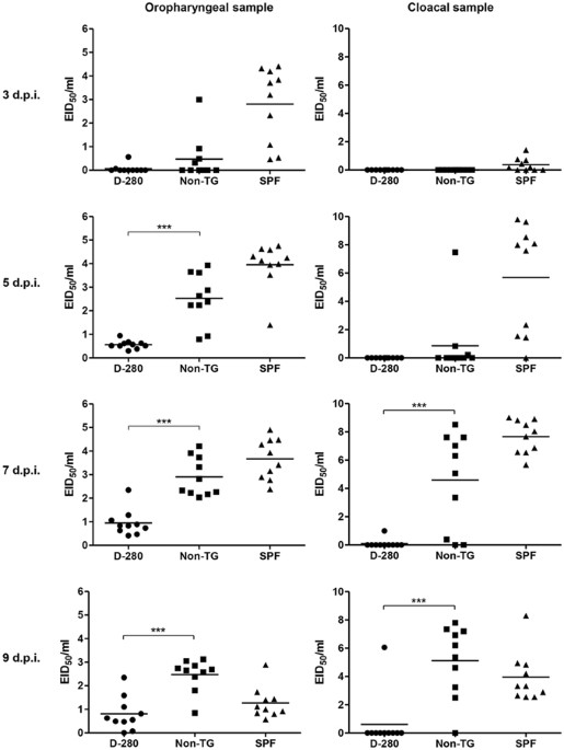 Transgenic Chickens Expressing the 3D8 Single Chain Variable Fragment ...