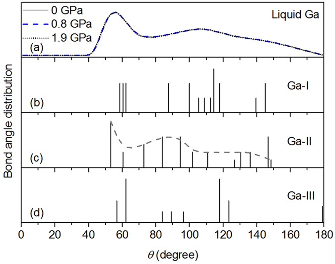 Local structure of liquid gallium under pressure Scientific Reports