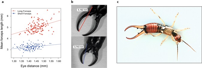 ConditionDependent TradeOff Between Weapon Size and