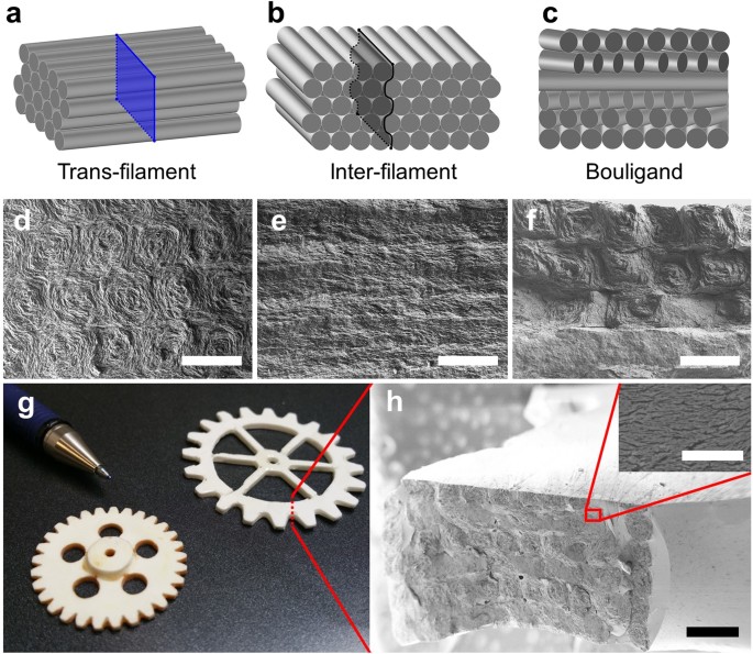 3D Printing Bioinspired Ceramic Composites | Scientific Reports