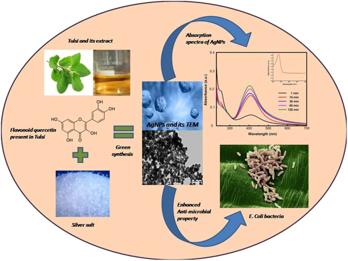 Medicinal Plant Leaf Extract and Pure Flavonoid Mediated Green