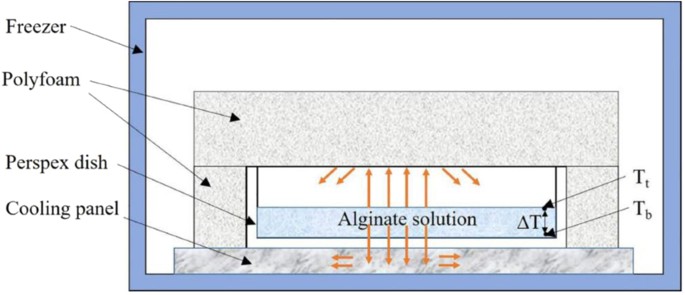 Influence of Stage Cooling Method on Pore Architecture of