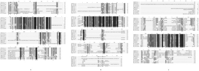 Isolation and functional identification of three cuticle ...