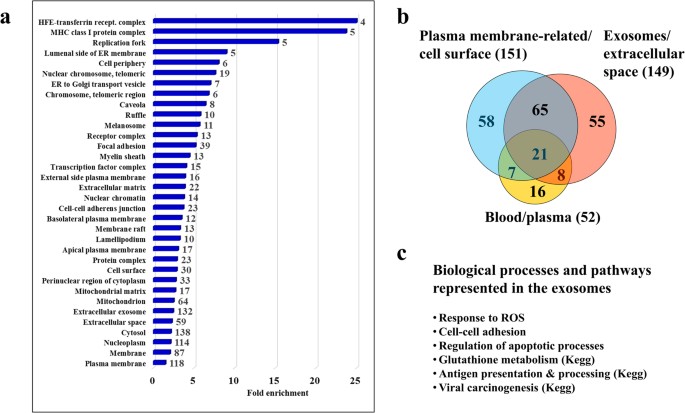 Cell Cycle Model System for Advancing Cancer Biomarker Research Biology Diagrams