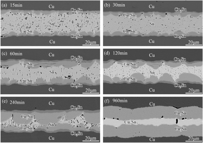 Growth kinetics of Cu 6 Sn 5 intermetallic compound in Cu ... diagram of cross 