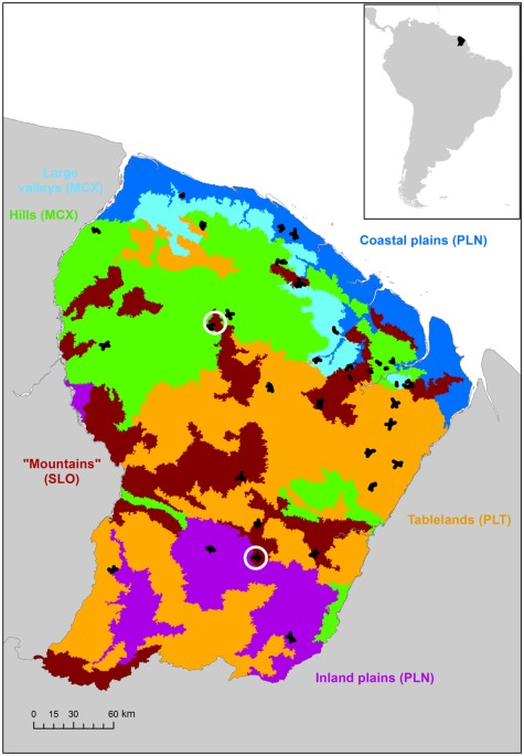 Disturbance Regimes Drive The Diversity of Regional Floristic Pools ...