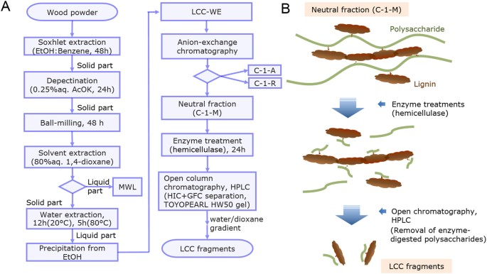 Direct evidence for α ether linkage between lignin and carbohydrates in ...