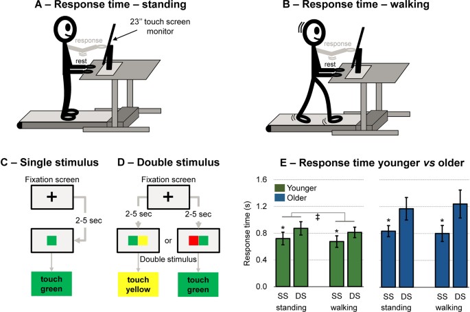 The Cognitive Complexity Of Concurrent Cognitive Motor Tasks Reveals Age Related Deficits In 1059