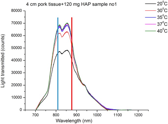 Sensitivity of Transmission Raman Spectroscopy Signals to Temperature