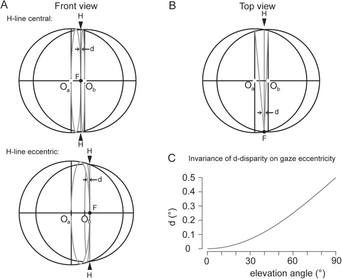 On the role of ocular torsion in binocular visual matching Scientific