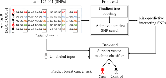 Machine learning identifies interacting genetic variants ... diagram of nucleotide gene 
