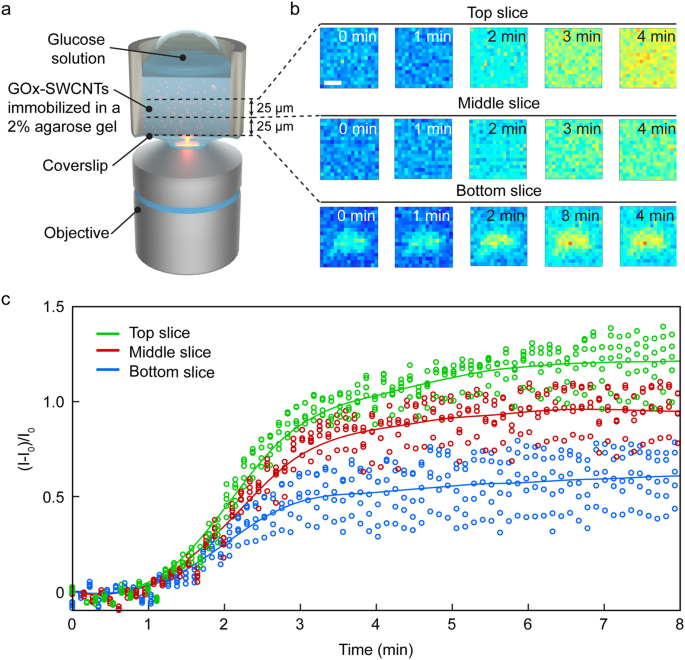 Spinningdisc confocal microscopy in the second nearinfrared window