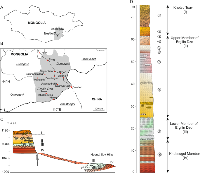 A new Eocene anagalid (Mammalia: Euarchontoglires) from ...