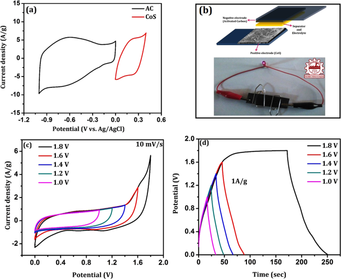 Effect of Bifunctional Hierarchical Flowerlike CoS Nanostructure on