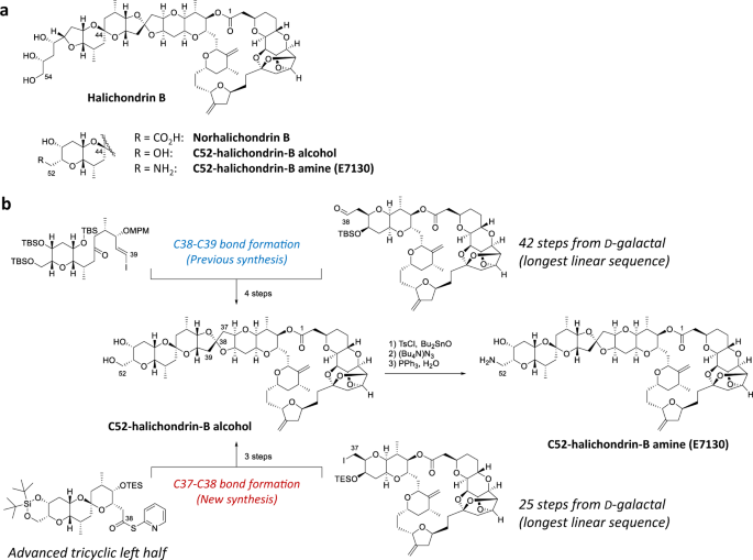 Herbal systhesis ltd image