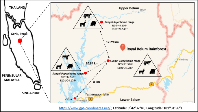 Tropical Rainforest Longitude And Latitude / Congo ...