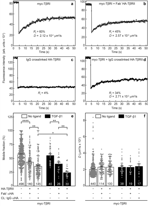 Cholesterol modulates type I\/II TGF-\u03b2 receptor complexes and alters the ...