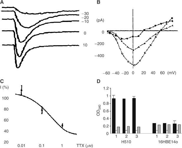 Neuronal characteristics of small-cell lung cancer ...