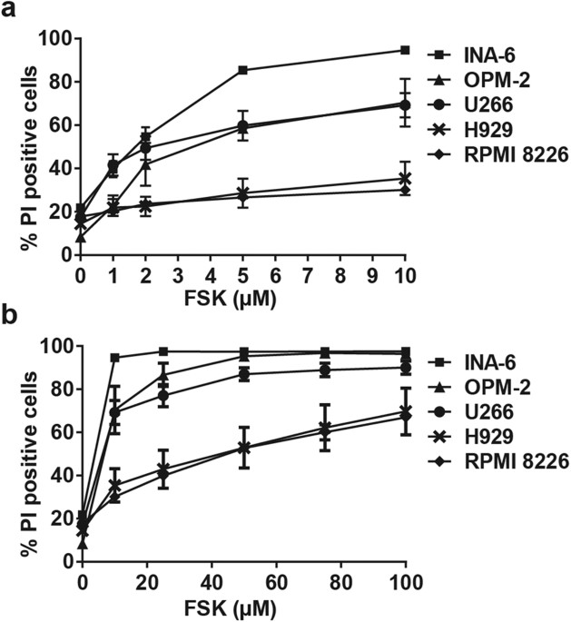 Antisense Protein Kinase A RIα Acts Synergistically with 