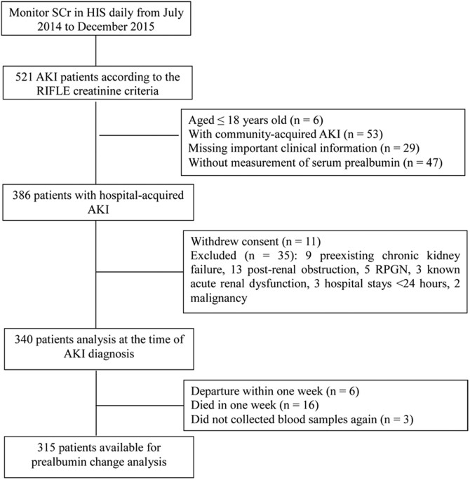 what does prealbumin test for what does prealbumin test for